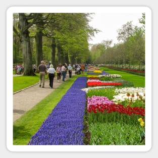 Keukenhof Tulip Festival, Holland Magnet